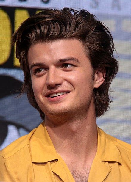 Joe keery Porn DeepFakes